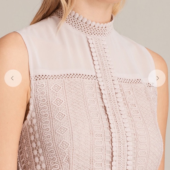 All Saints Rowy Lace Blush Pink Dress - Picture 6 of 10